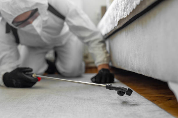 Professional Bed Bug Control technician working in Milford, MI