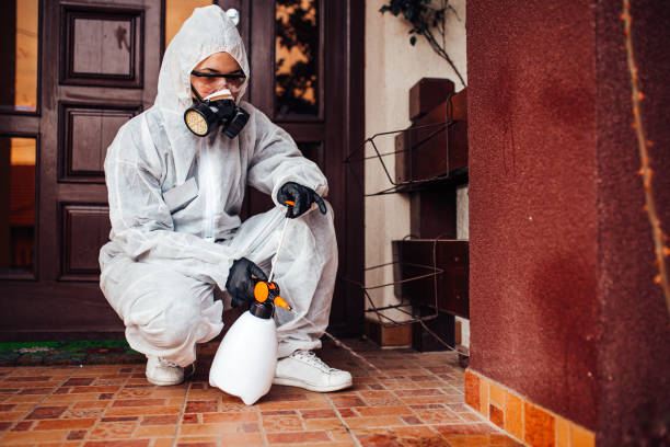 Reliable Bed Bug Control contractor in Milford, MI by Nex Pest Control