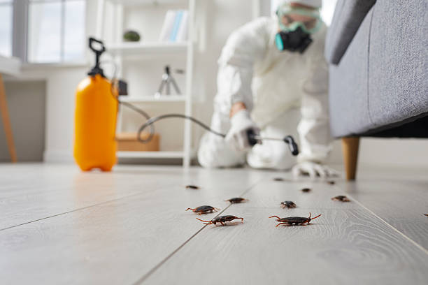 Trusted Termite Control service in Milford, MI - Nex Pest Control
