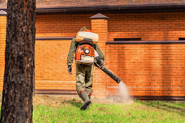 Trusted Cockroach Control service in Milford, MI - Nex Pest Control